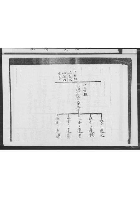 广东赖氏族谱-赖氏族谱.pdf电子版预览图5