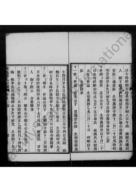 广东黎氏族谱-圆榄黎氏宗谱 [残卷].pdf电子版预览图5