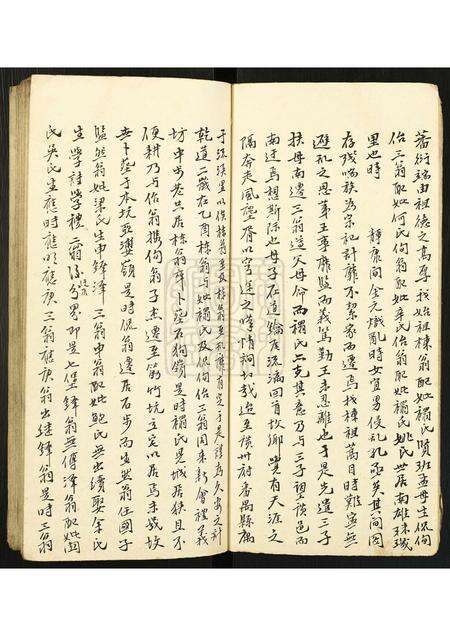 广东李氏族谱-[李氏]小族谱.pdf电子版预览图5