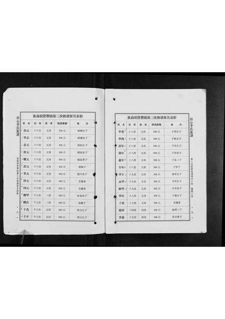 广东李氏族谱-田心李氏族谱.pdf电子版预览图5