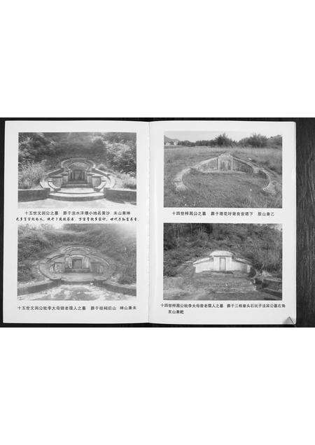 广东李氏族谱-矮岗李氏族谱.pdf电子版预览图5