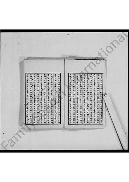 广东李氏族谱-香港新界南涌李氏族谱.pdf电子版预览图5