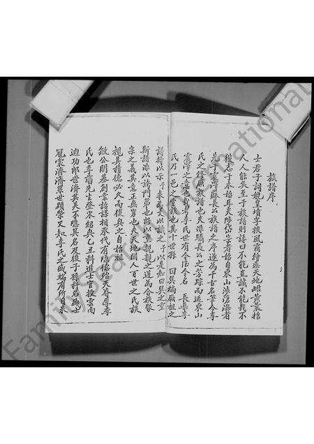 广东李氏族谱-宝安县船湾涌尾李氏族谱.pdf电子版预览图5