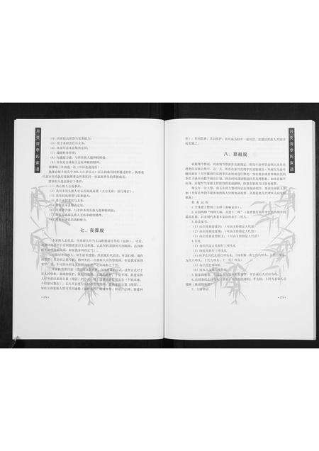 河南李氏族谱-月亮湾李氏家谱[2册].pdf电子版预览图5