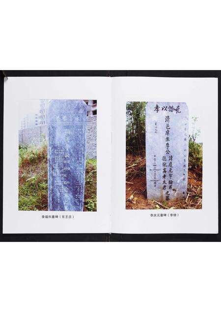 河南李氏族谱-李氏家谱[不分卷].pdf电子版预览图5