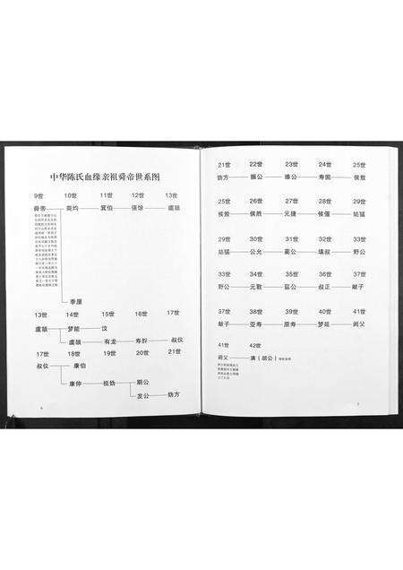 福建陈氏族谱-陈氏族谱.pdf电子版预览图5