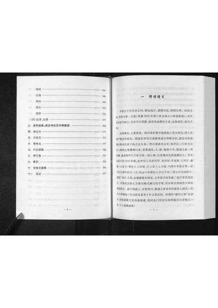 河南李氏族谱-坡东李李氏家谱 [不分卷].pdf电子版预览图5