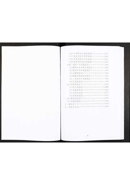 广东连氏族谱-上党连氏族谱集锦[不分卷].pdf电子版预览图5