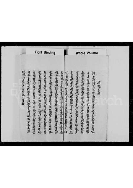 广东梁氏族谱-麻布尾村梁姓族谱.pdf电子版预览图5