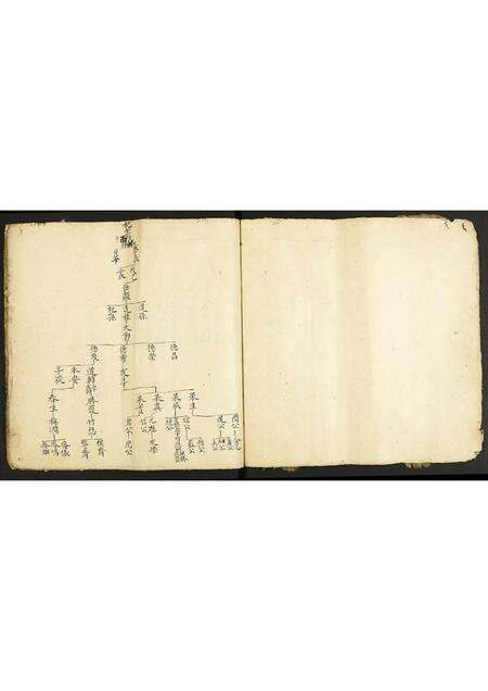 广东林氏族谱-冲式林氏家谱.pdf电子版预览图5