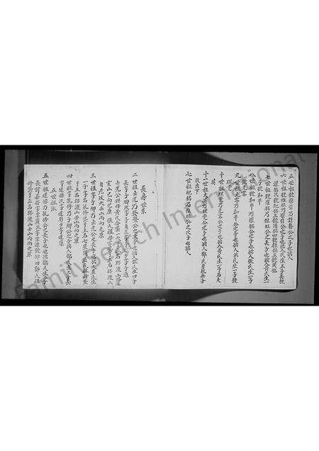 广东林氏族谱-新界屯门林氏族谱.pdf电子版预览图5