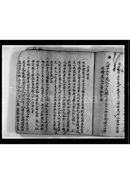 广东林氏族谱-发鳌公族谱第三房.pdf电子版预览图5