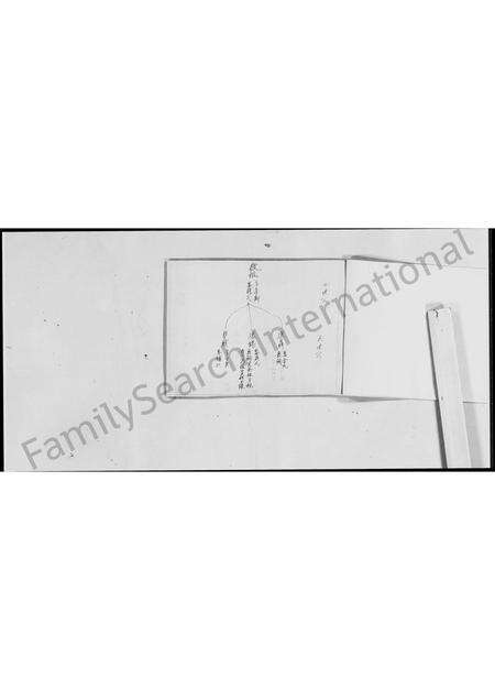 广东刘氏族谱-新会(虫雷)江刘氏中代谱系.pdf电子版预览图5