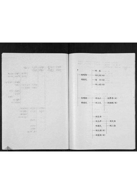 河南刘氏族谱-刘氏家谱[不分卷].pdf电子版预览图5