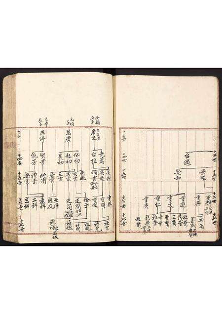 广东陆氏族谱-陆氏族谱.pdf电子版预览图5