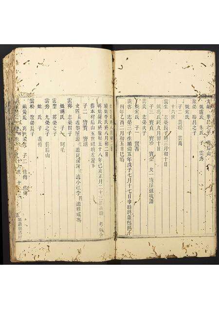 广东陆氏族谱-陆氏族谱.pdf电子版预览图5