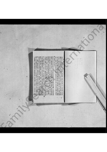 广东陆氏族谱-信宜陆氏族谱初稿.pdf电子版预览图5