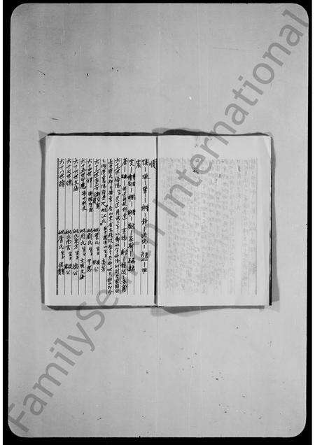 广东罗氏族谱-元朗锦田罗屋村罗氏族谱.pdf电子版预览图5