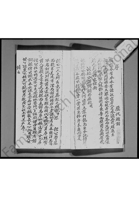 广东罗氏族谱-宝安县锦田横台山罗氏族谱.pdf电子版预览图5