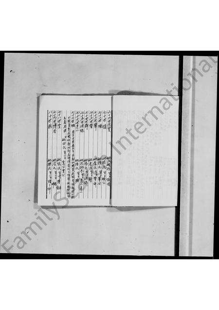 江西、广东罗氏族谱-罗氏历代族谱.pdf电子版预览图5