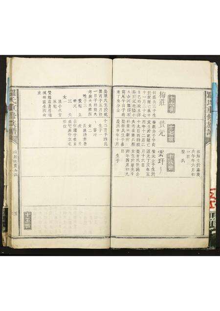 广东罗氏族谱-罗氏重修族谱.pdf电子版预览图5