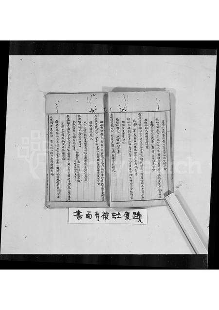 广东罗氏族谱-普宁南径罗氏族谱.pdf电子版预览图5