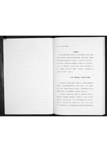 河南马氏族谱-开濮曹徐马氏家族轶事[不分卷].pdf电子版预览图5