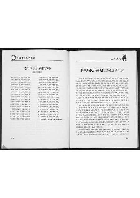 河南马氏族谱-开濮曹徐马氏家谱.pdf电子版预览图5