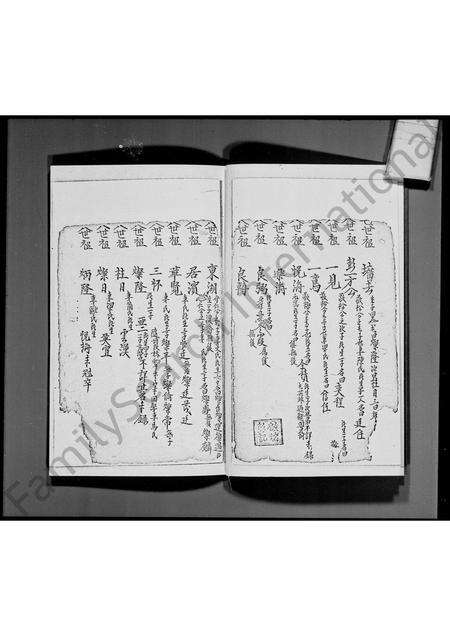 广东彭氏族谱-宝安县粉岭彭氏族谱节录.pdf电子版预览图5