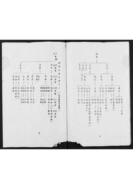 广东丘氏族谱-丘氏成实祖世系.pdf电子版预览图5