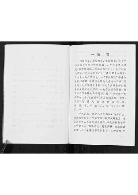 河南申氏族谱-申氏族谱.pdf电子版预览图5