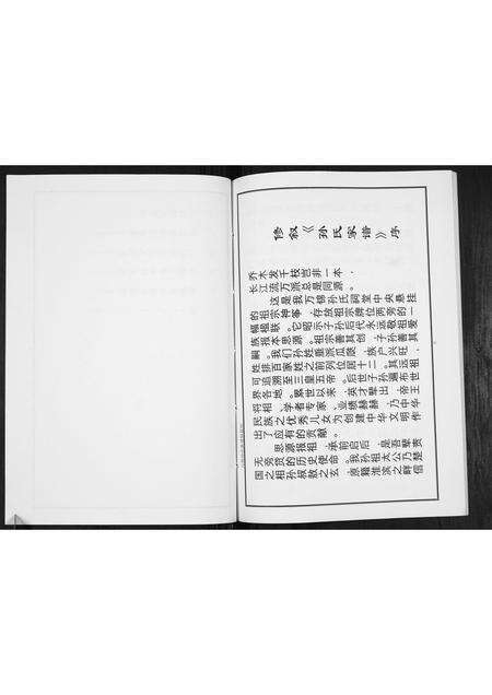 河南孙氏族谱-孙氏族谱[不分卷].pdf电子版预览图5