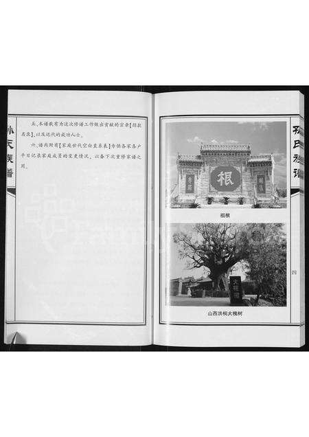 河南孙氏族谱-孙氏族谱.pdf电子版预览图5