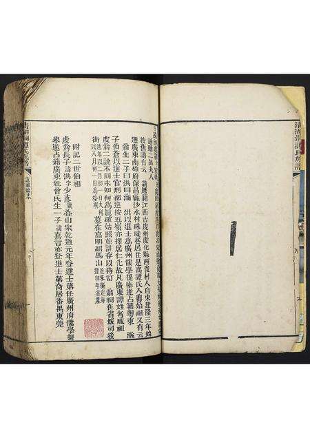 广东谭氏族谱-清湖洞谭氏族谱.pdf电子版预览图5