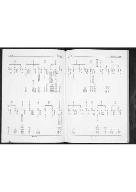 广东唐氏族谱-唐氏族谱.pdf电子版预览图5
