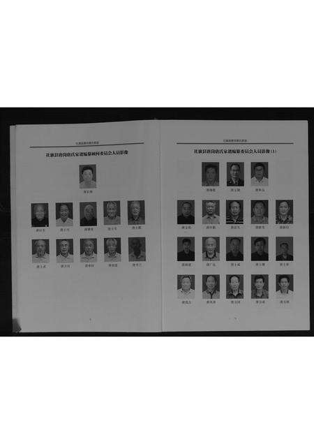 河南唐氏族谱-社旗县唐岗唐氏家谱[不分卷].pdf电子版预览图5