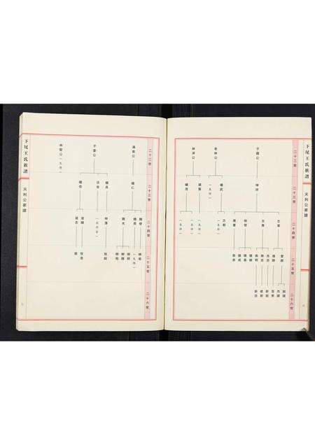 广东王氏族谱-下尾王氏族谱.pdf电子版预览图5