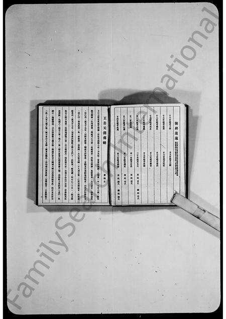 广东王氏族谱-东莞虎门王氏家谱.pdf电子版预览图5