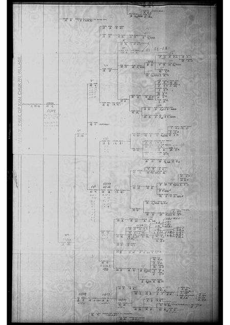广东王氏族谱-金竹排村王斯福家族谱.pdf电子版预览图5