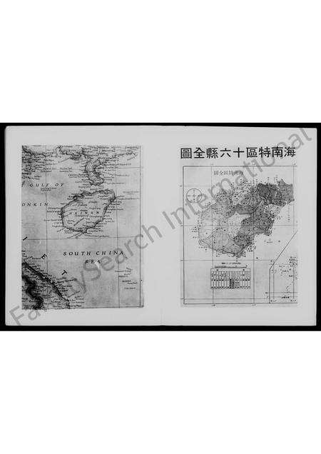 广东王氏族谱-海南王氏旅台宗亲家谱汇编.pdf电子版预览图5