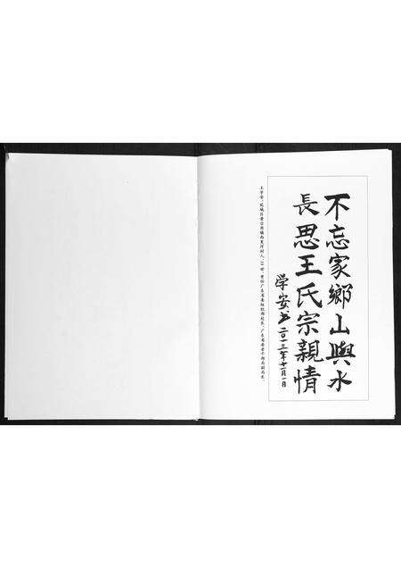 河南王氏族谱-夏河王氏家谱.pdf电子版预览图5