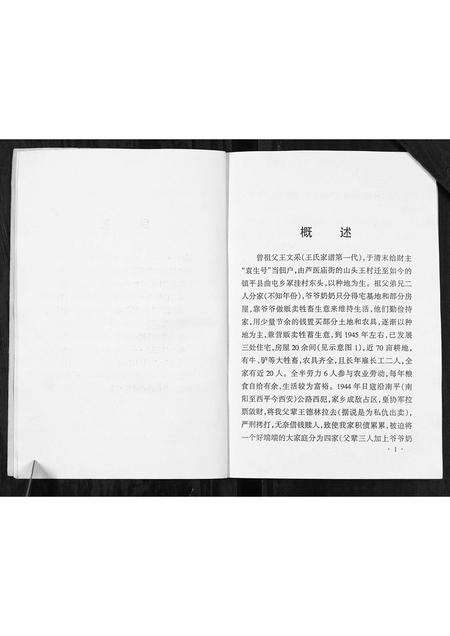 河南王氏族谱-王氏家谱[不分卷].pdf电子版预览图5