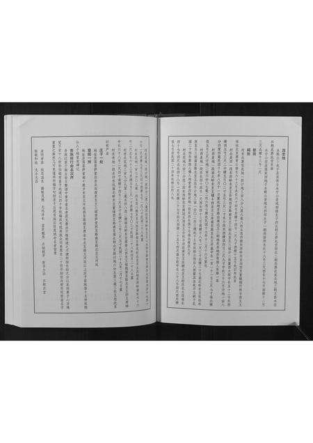 河南王氏族谱-王氏族谱.pdf电子版预览图5