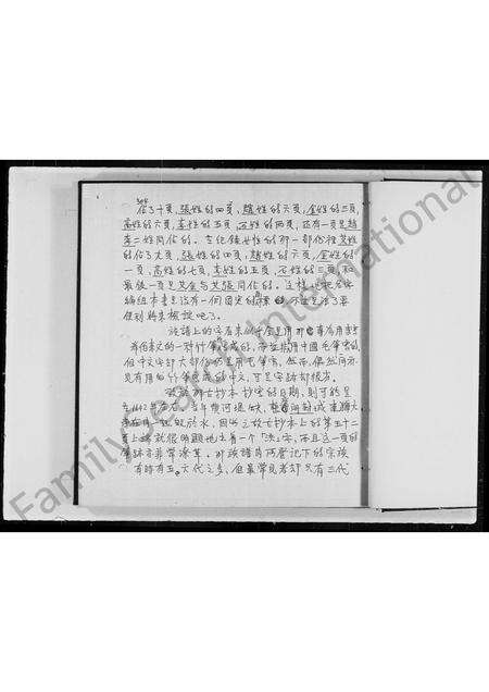 河南未知族谱-开封犹太人族谱节本.pdf电子版预览图5