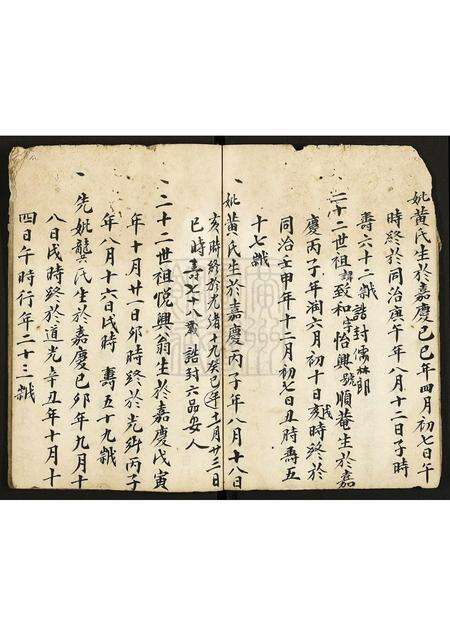 广东未知族谱-[姓氏不详]家谱.pdf电子版预览图5