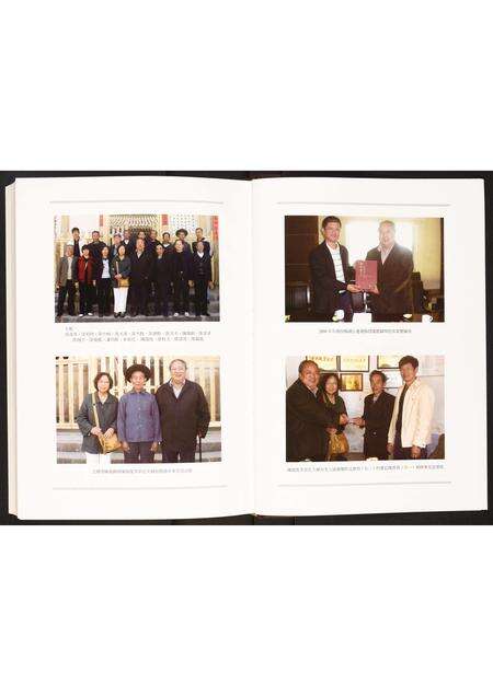 广东未知族谱-隆都大巷陈氏族谱.pdf电子版预览图5