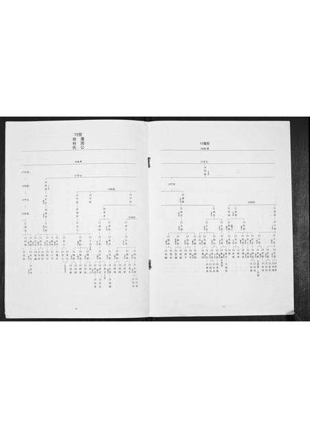 广东魏氏族谱-[魏氏]藩园公家谱.pdf电子版预览图5