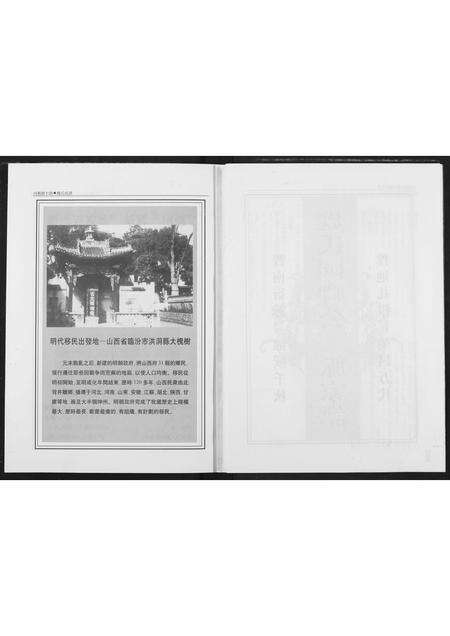 河南魏氏族谱-魏氏族谱.pdf电子版预览图5