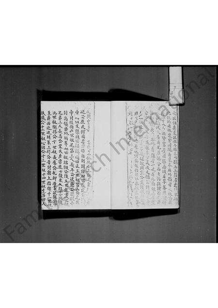 广东温氏族谱-新界榕树澳村温氏族谱.pdf电子版预览图5