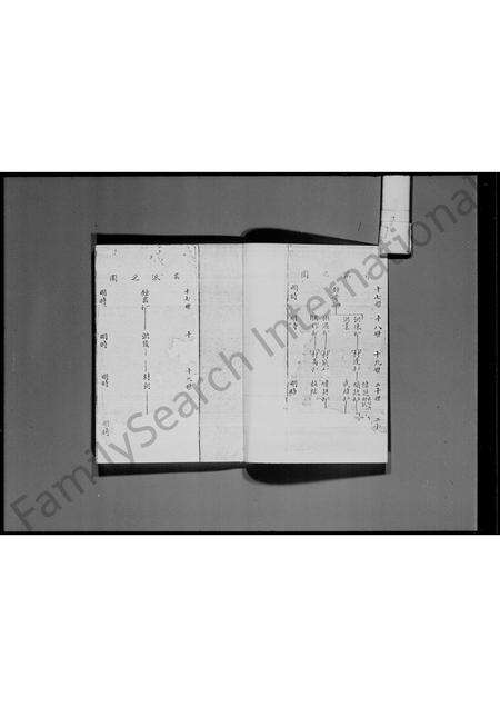 广东温氏族谱-粉岭龙跃头温氏族谱.pdf电子版预览图5